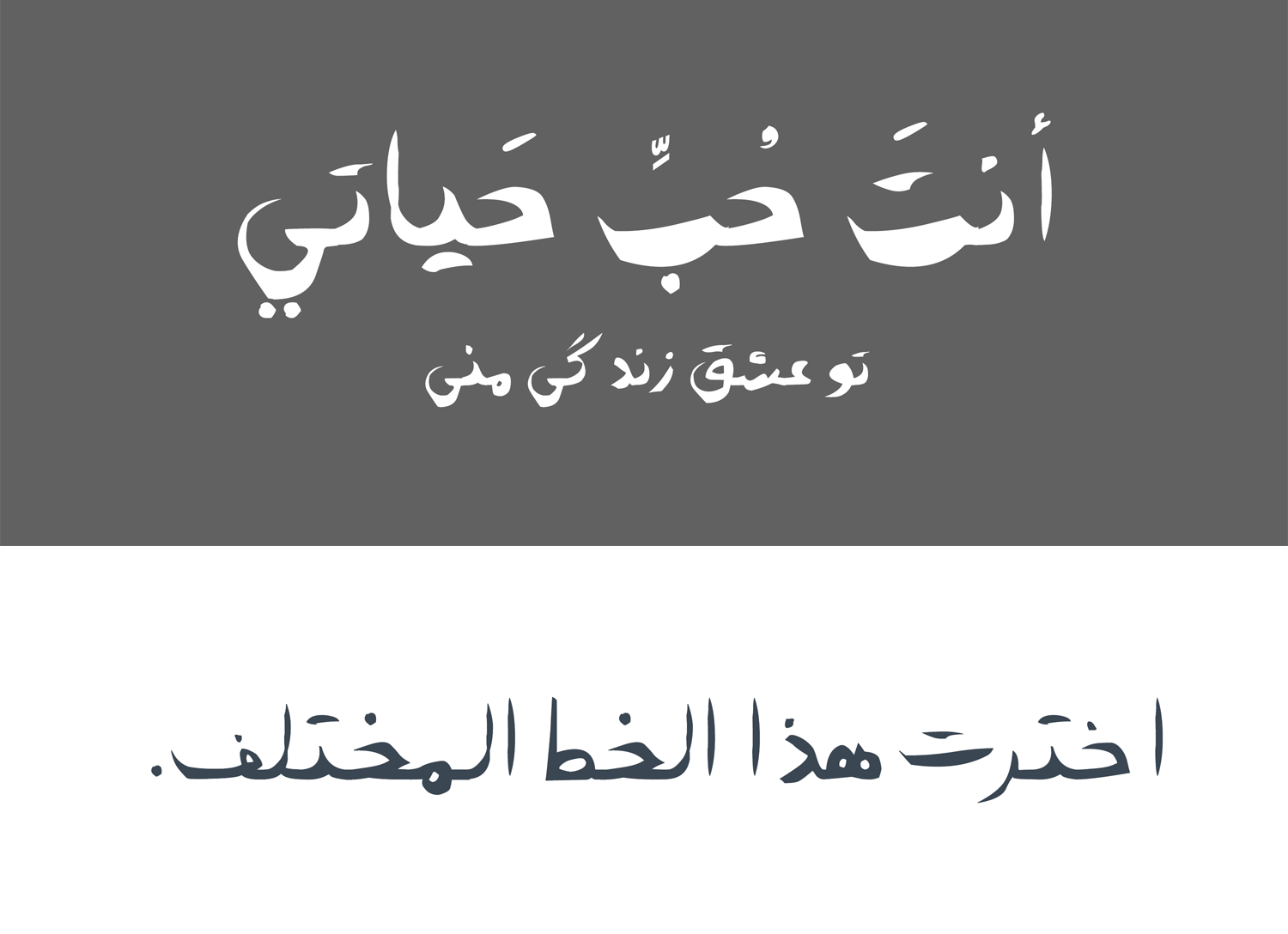 وزن‌های فونت آتابای