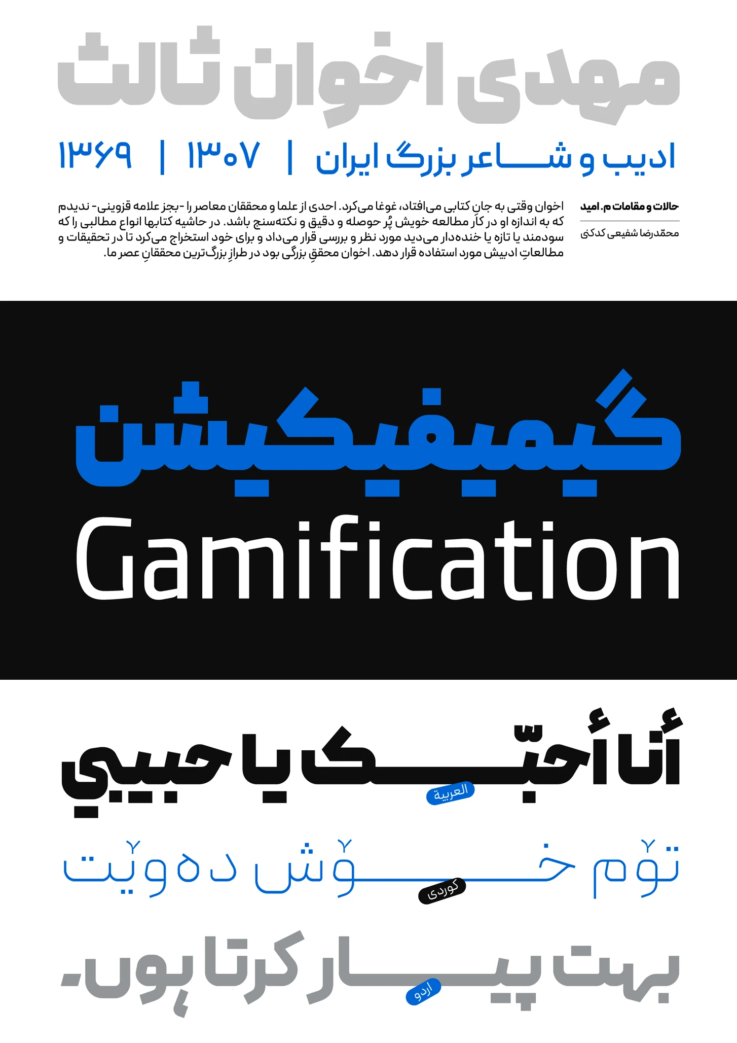 پشتیبانی زبان فونت پیدا