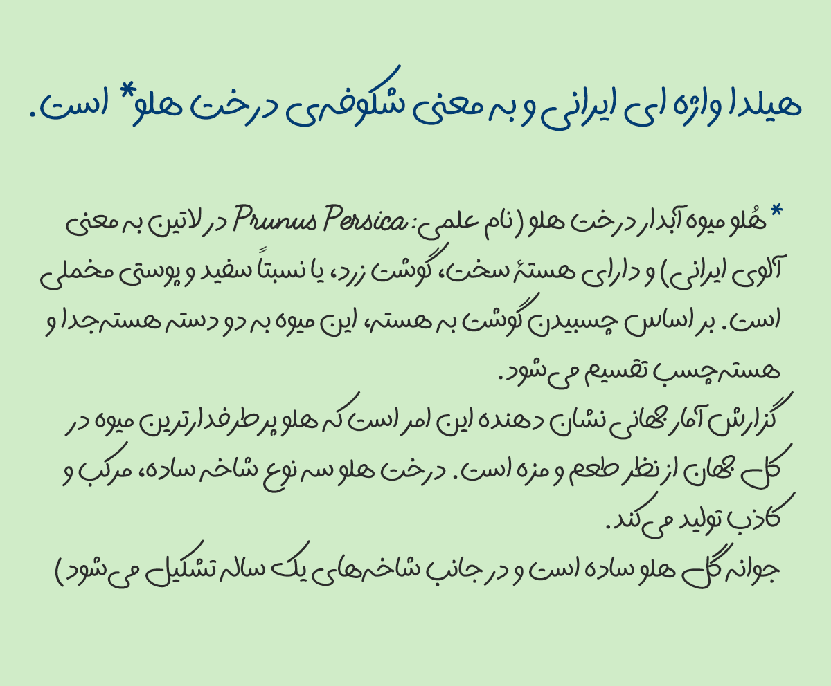 فونت دست نویس هیلدا رایگان