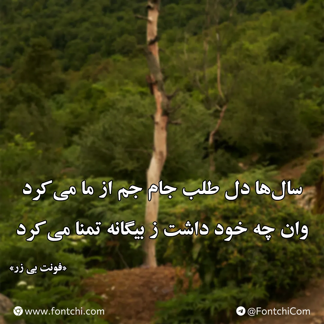 دانلود فونت بی زر بولد و معمولی