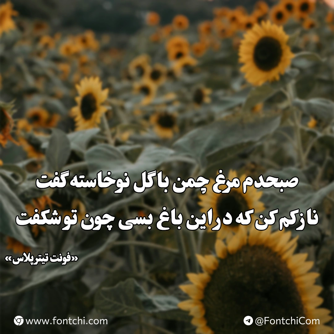 دانلود رایگان فونت تیتر پلاس